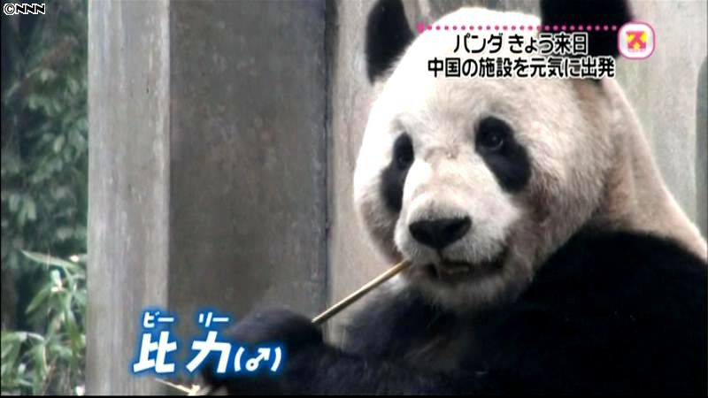 パンダが中国出発、上野動物園に今夜到着へ