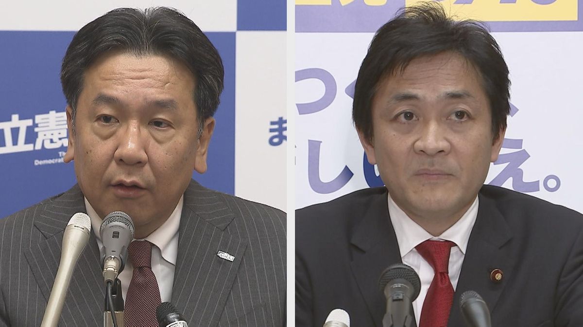 ２０１９年・野党の展望　安倍一強崩すには