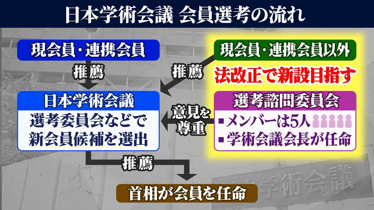 図：日本学術会議 会員選考の流れ