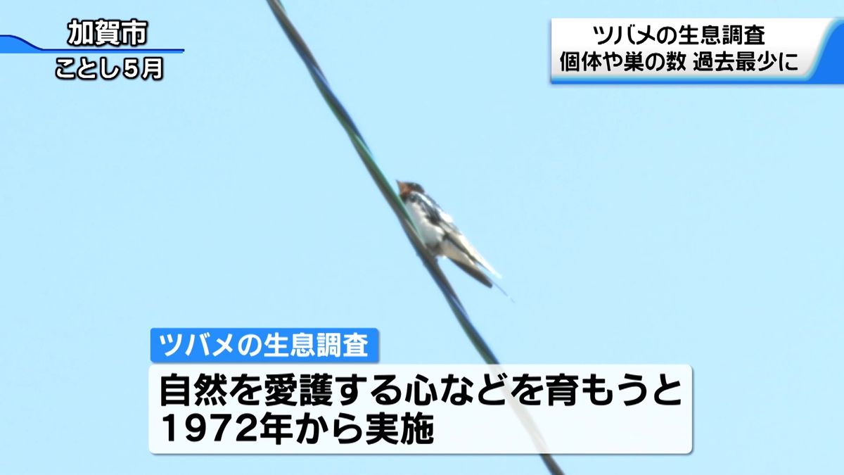 石川のツバメが減少？　生息調査開始以降で最少を記録　その理由とは…　