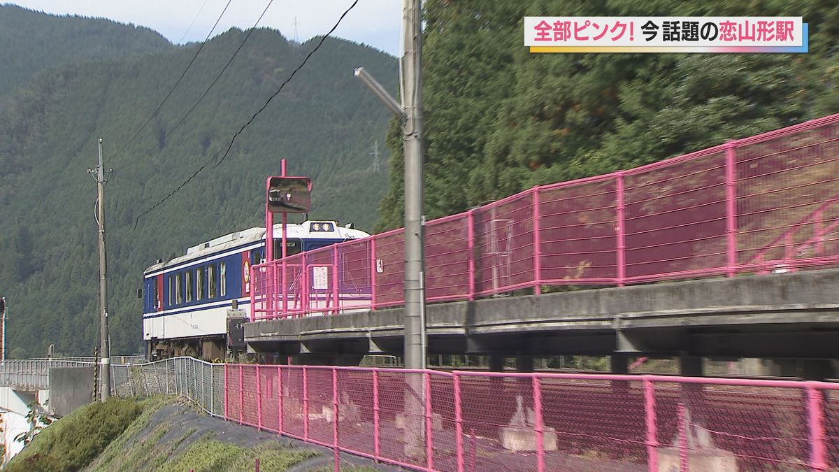 人よ来い！今日もピンク色の駅は山奥で存在感を放っている