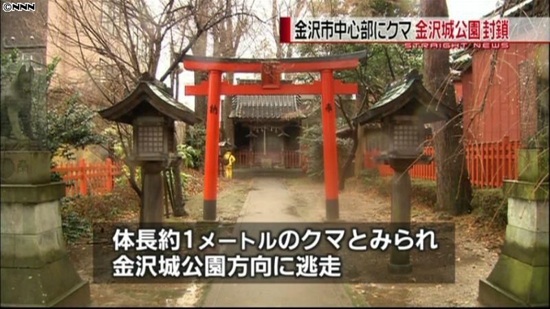 金沢市中心部でクマ目撃　金沢城公園を封鎖