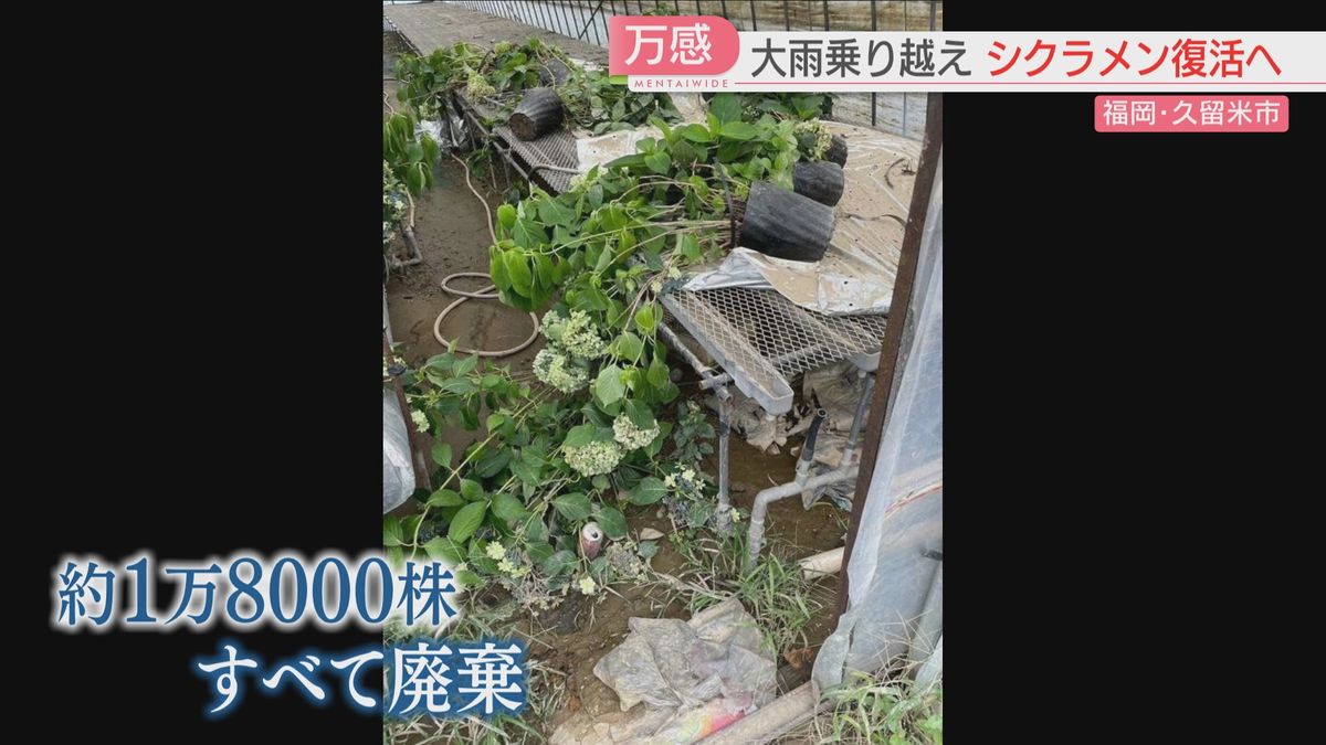 1万8000株を廃棄