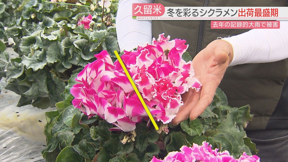 ユニークな花づくり