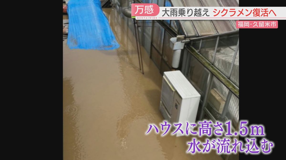 ハウスが浸水