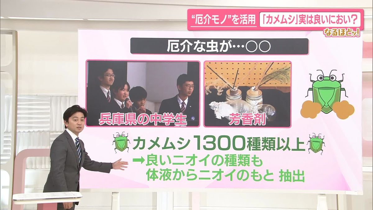 【なるほどッ！】“厄介モノ”を有効活用　「カメムシ」実は良いにおい？