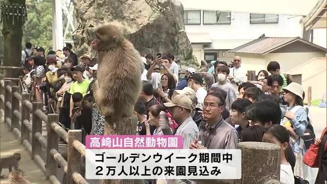 GW２日目　大分市の高崎山では赤ちゃんザルが観光客を魅了！ ２万人以上の来園見込む　大分