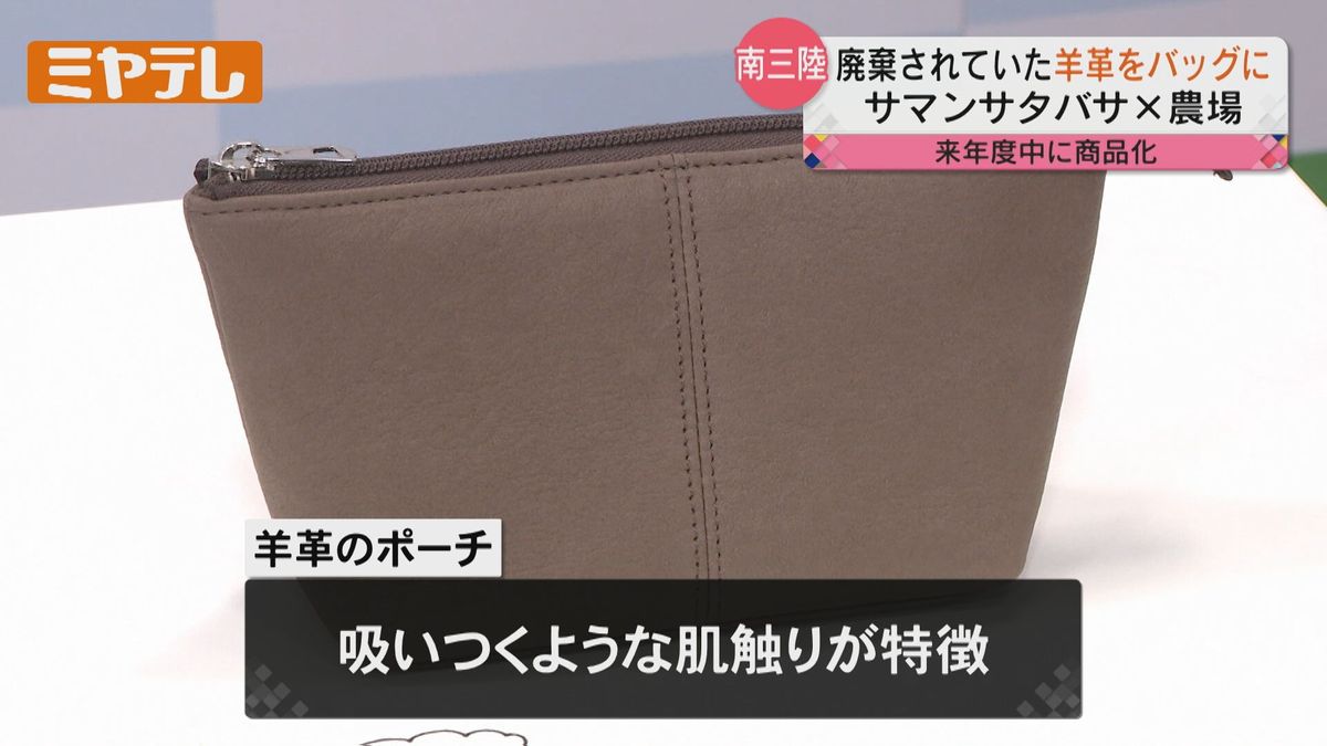 【「サマンサタバサ」とコラボ】棄てていたヒツジの革　有名ファッションブランドと商品化「南三陸わかめ羊プロジェクト」始まる（宮城・南三陸町）