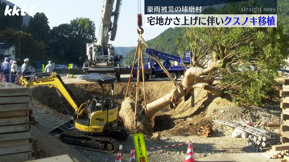 樹齢100年 地域のシンボル･民家の大クスノキが移植 熊本豪雨で宅地の嵩上げ