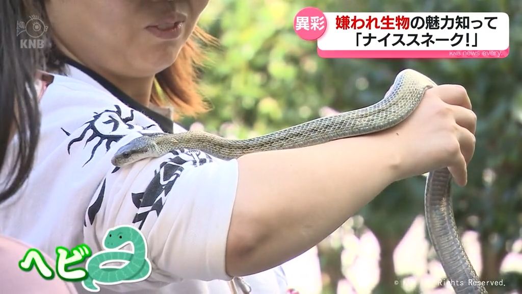 嫌われ生物の魅力伝える移動動物園「ナイススネーク！」