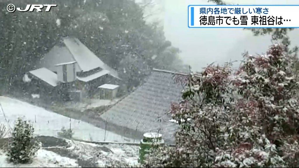 徳島市でも雪　県内各地で厳しい寒さ【徳島】