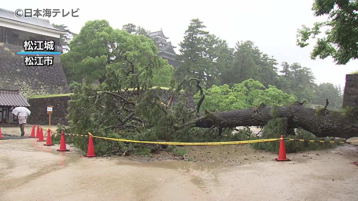 松江城では倒木も　山陰各地で大雨　土砂災害に注意を　鳥取・島根