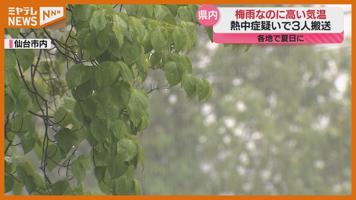 【宮城】＜気温高い＞状態続く　県内で3人が『熱中症』と見られる症状で救急搬送　昼過ぎまでは梅雨らしい天気　(11日） 