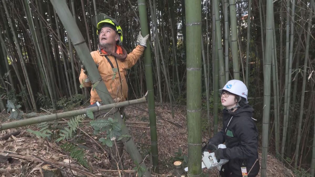 【特集・里山WEEK】竹を生かす　竹林整備の輪を広げる元船頭