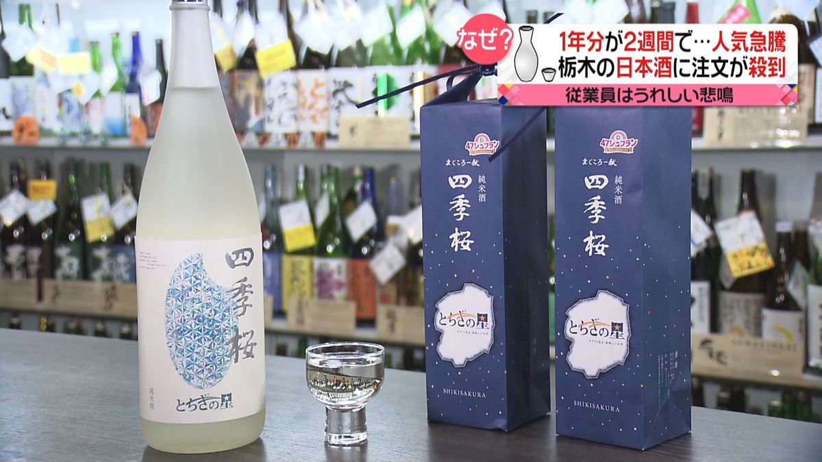 日本酒「とちぎの星」大ヒット！理由は…？