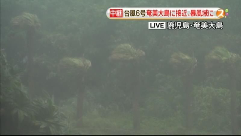 台風６号　鹿児島・奄美大島が暴風域に