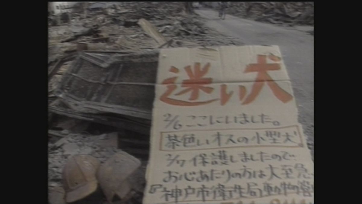 1995年　阪神・淡路大震災のときの様子