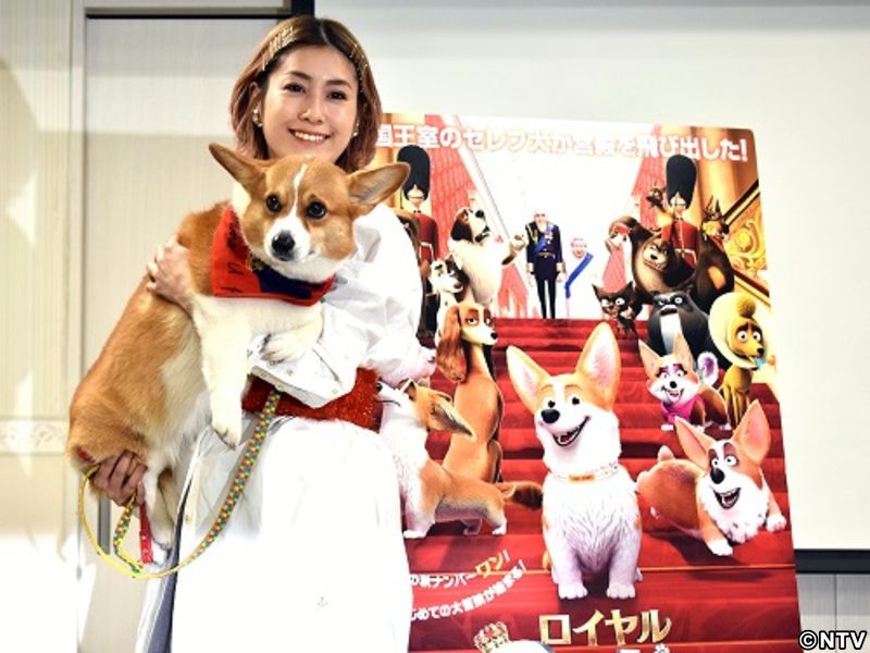 ＩＭＡＬＵ、愛犬は「時に家族以上の存在」