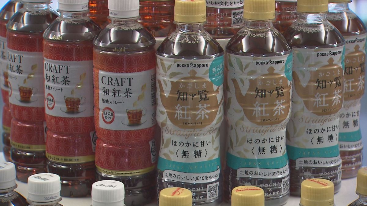 実は生産量“日本一”鹿児島の紅茶　大手飲料メーカーと県が魅力発信