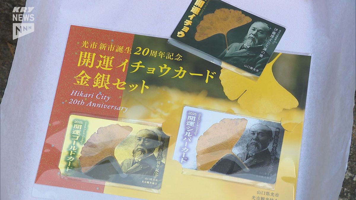 「開運イチョウカード」今年も販売へ 伊藤博文ゆかりのイチョウの葉をラミネート　地域の言い伝えがヒント