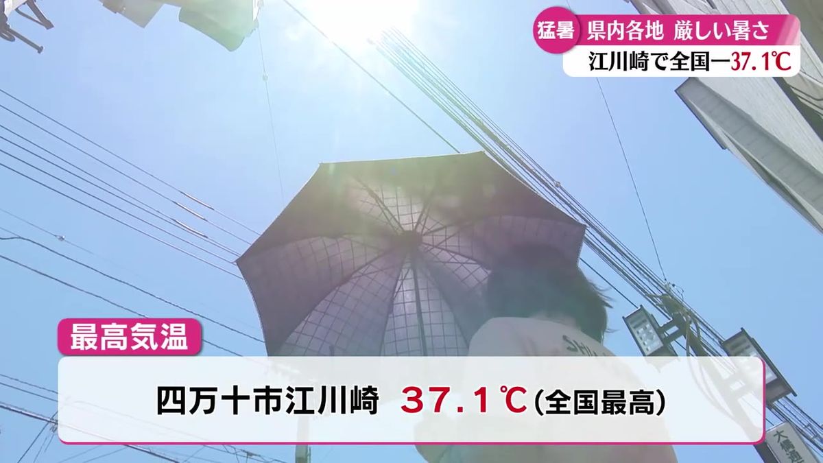 江川崎は全国で最も暑い37.1度！高知県内14地点で今年の最高気温を観測【高知】
