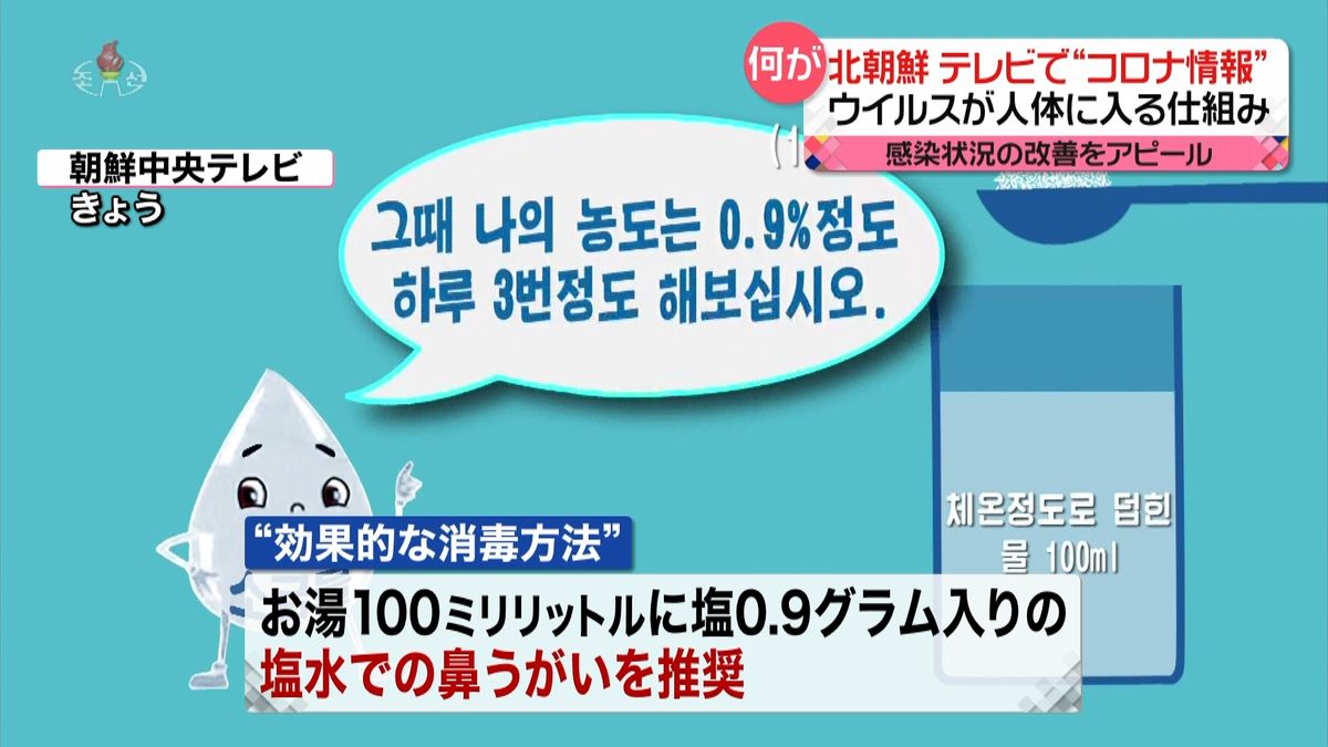 国営テレビで“コロナ情報”ウイルスが人体に入る仕組みを解説　北朝鮮