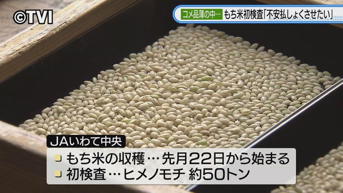 コメ品薄の中「もち米」初検査　生育は順調「一等米」に　岩手・紫波町