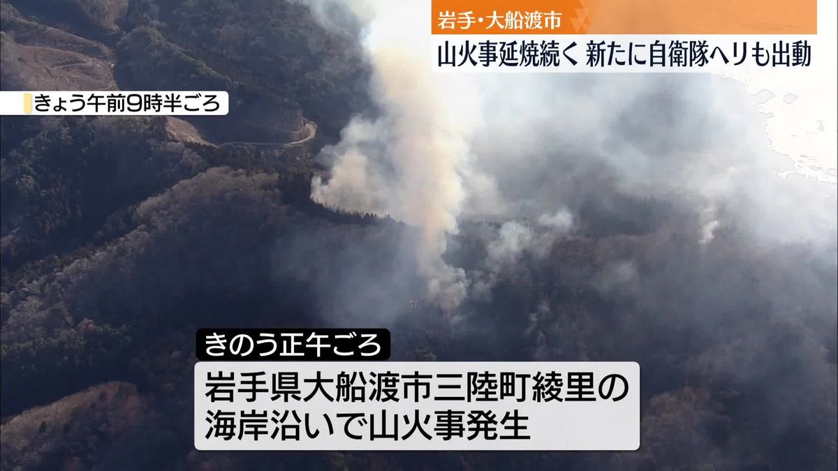 山火事延焼中…きょうも消火活動続く　岩手・大船渡市