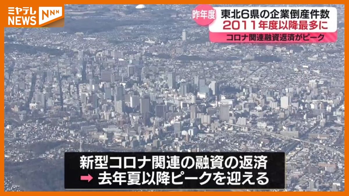 【2011年度以降「最多」】2023年度『東北地方の企業倒産件数』　要因は「新型コロナ」関連融資が返済時期を迎えたことか