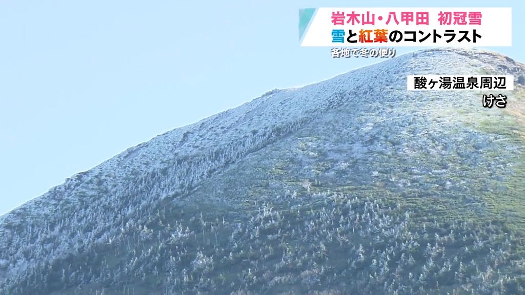 青森県内に冬の便り　雪と紅葉の共演も　有名な紅葉スポットでは…