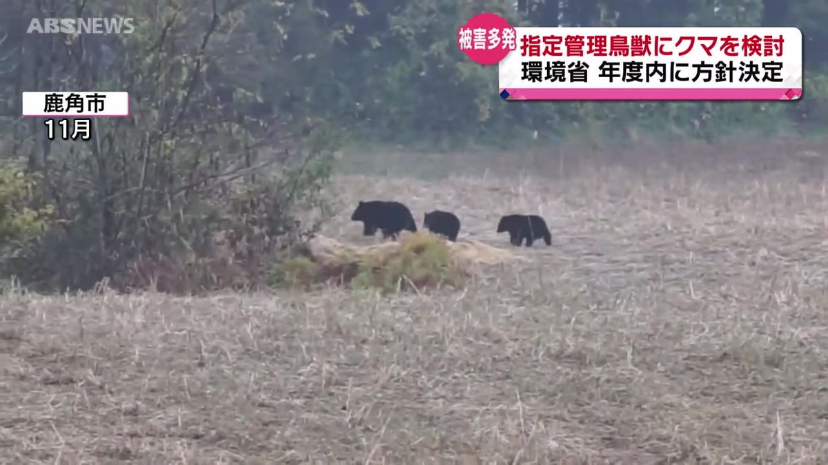 クマを指定管理鳥獣に　検討会始まる