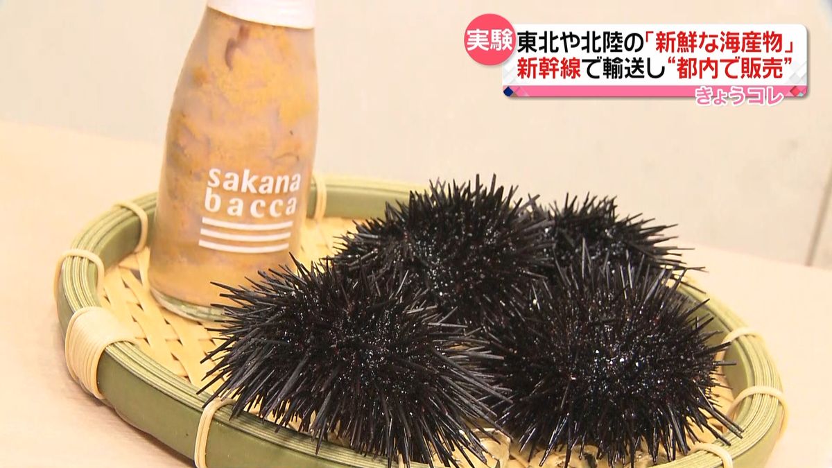 新幹線で海産物を輸送し都内で販売へ