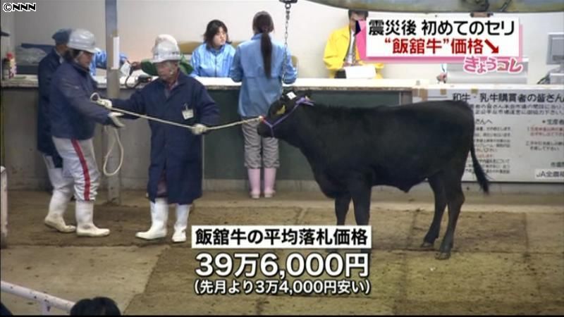 福島で牛の競り、飯舘牛の価格が大幅下落