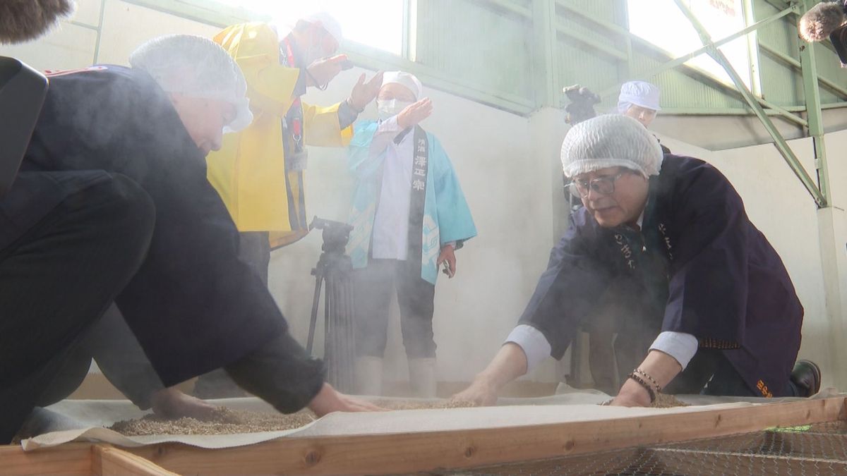 山形・戸沢村のソバとコメを使った焼酎の仕込み　大雨被害で収穫量は減少　12月に販売予定