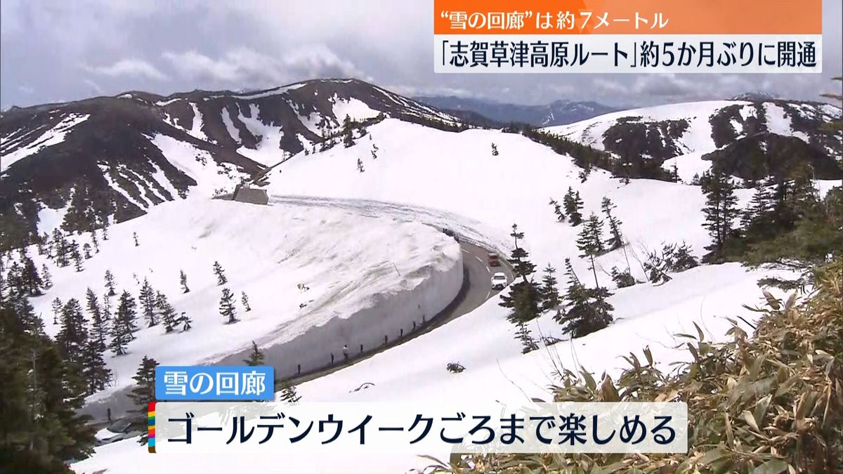 志賀草津高原ルートが約5か月ぶりに開通　“雪の回廊”多くの観光客でにぎわう