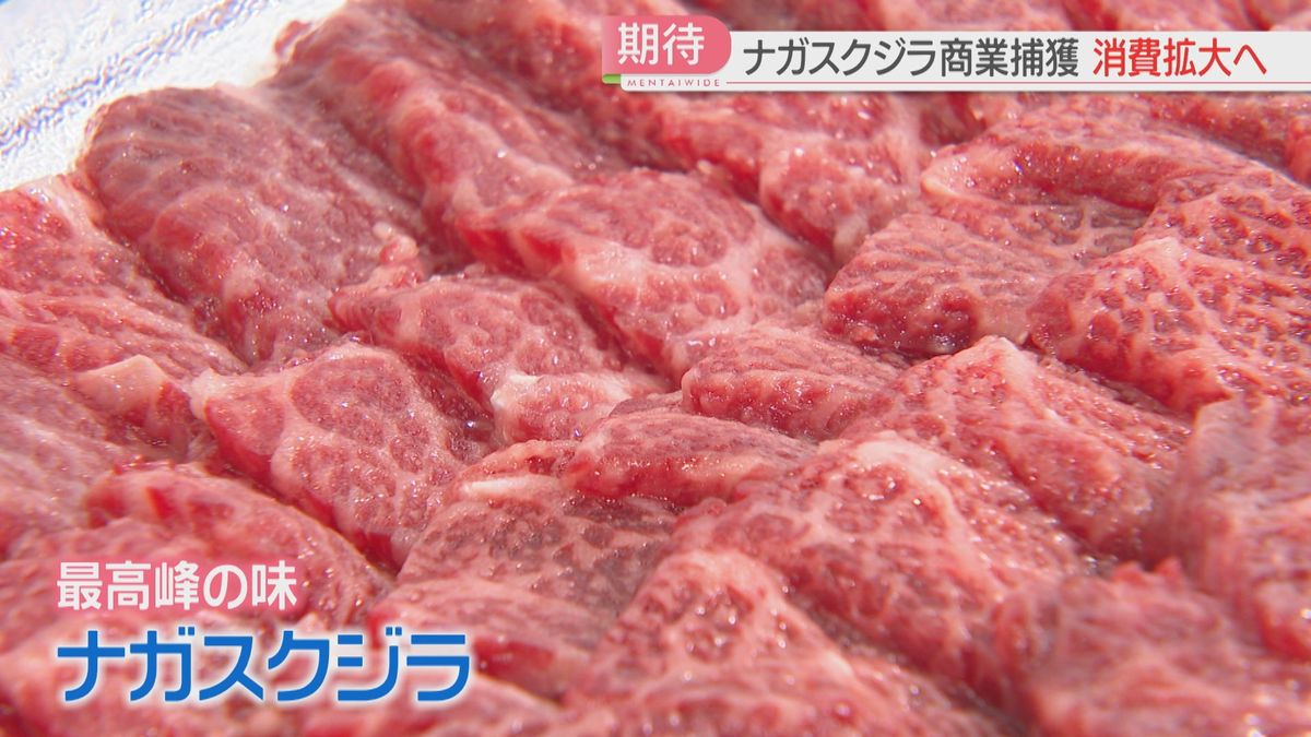 「クジラ肉」商談会で消費拡大へ　“最高峰”ナガスクジラで「先入観が消えた」福岡