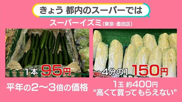 鍋 野菜 高い