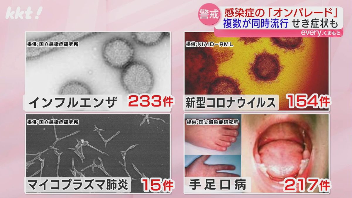 県内の感染者数