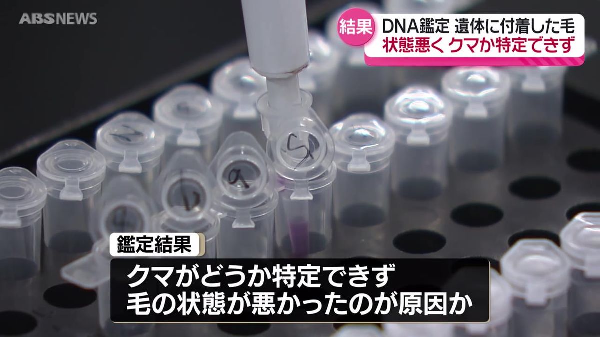 遺体男性に付着していた黒い毛「クマかどうか特定できず」　DNA鑑定の詳細に迫る