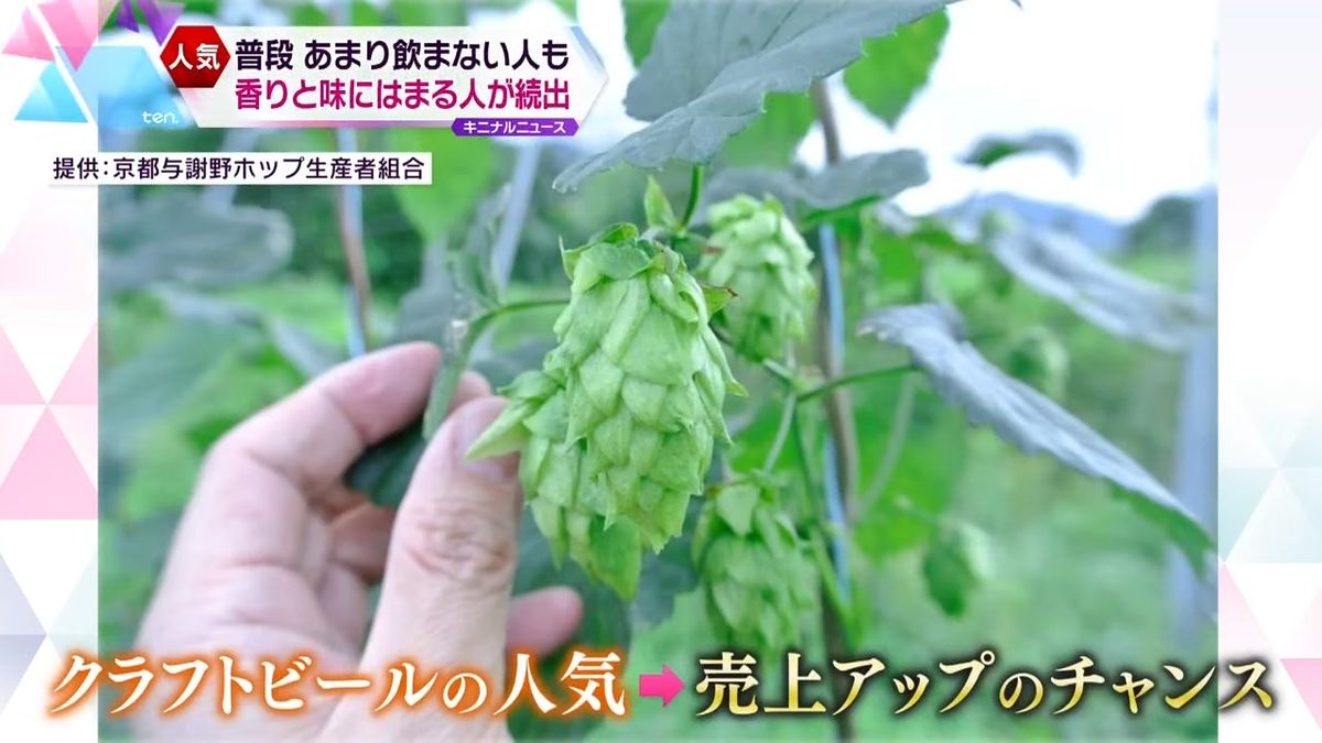 クラフトビール人気は減少する農家の活路に