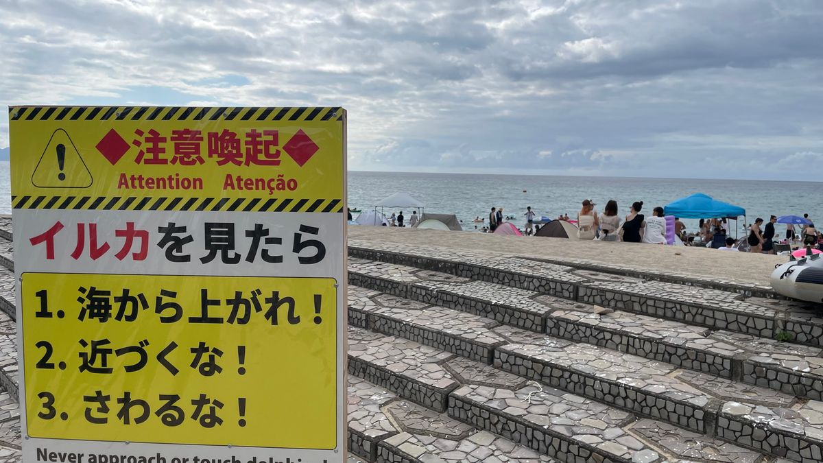 3日連続でイルカにかまれる被害　男性が手をかまれ5針縫う　美浜町･水晶浜海水浴場　今シーズン合計16人に