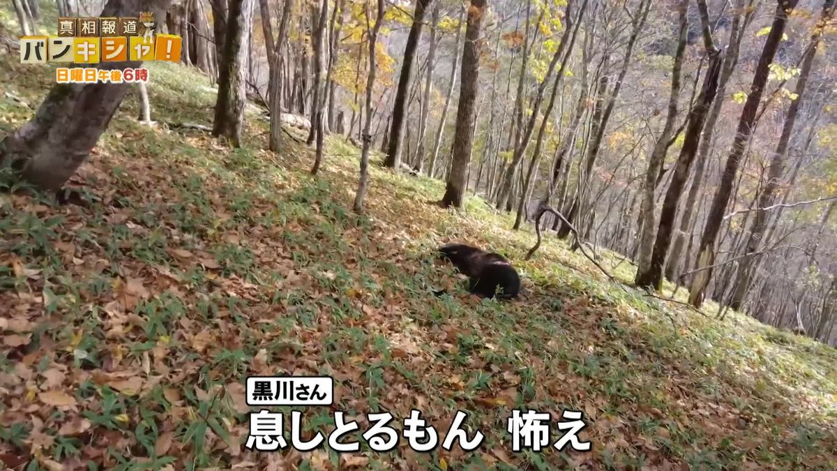 ＜密着＞ ヒグマ猟師と山の中へ…人里近くに残る足跡の先には【バンキシャ！】