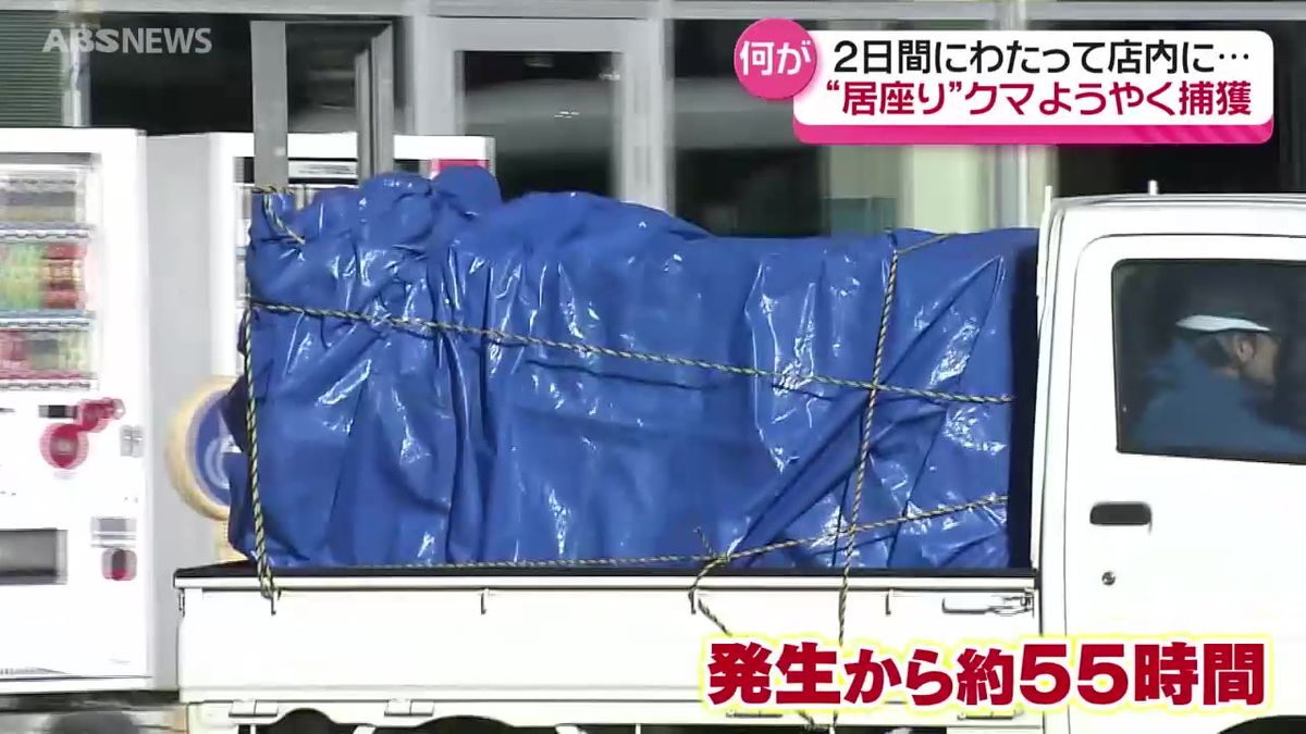 【まとめ】秋田市のスーパーのクマ　45時間あまり"居座り"もついに捕獲　発生からの動きを詳報