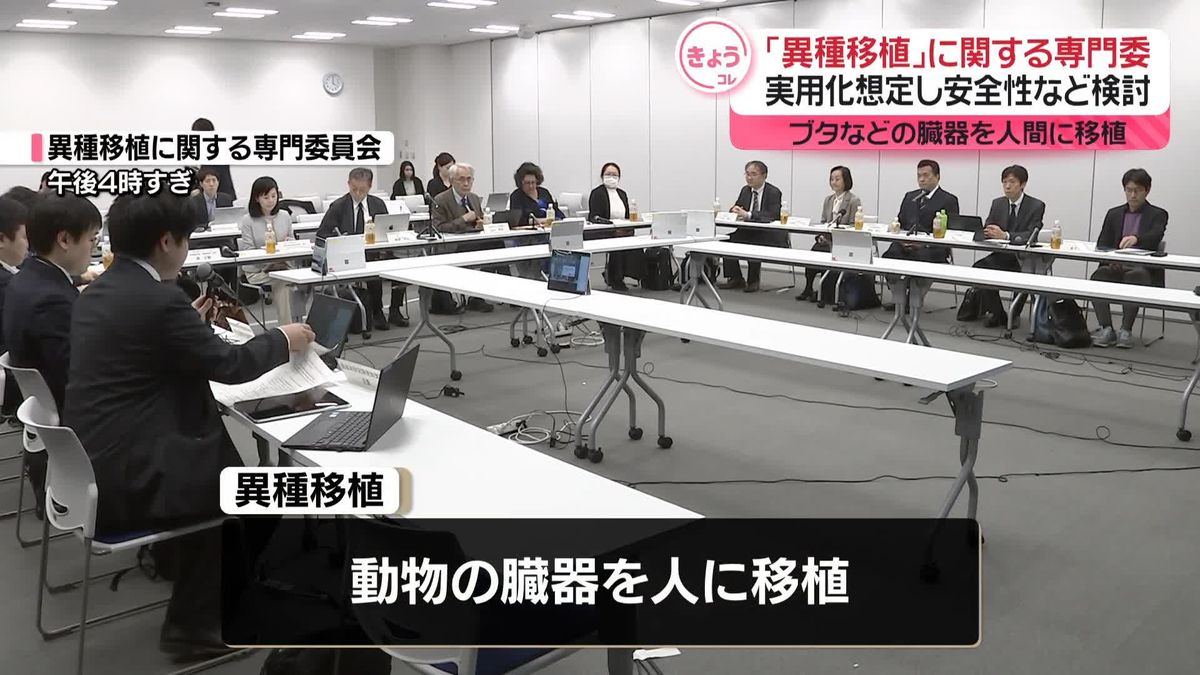 動物の臓器を人に…「異種移植」の安全性など検討する委員会設置