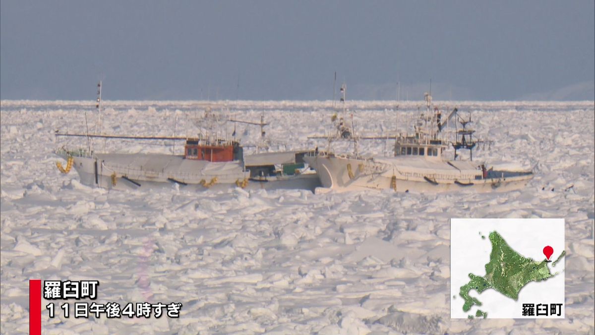 漁船８隻、流氷に閉じ込め　北海道羅臼町