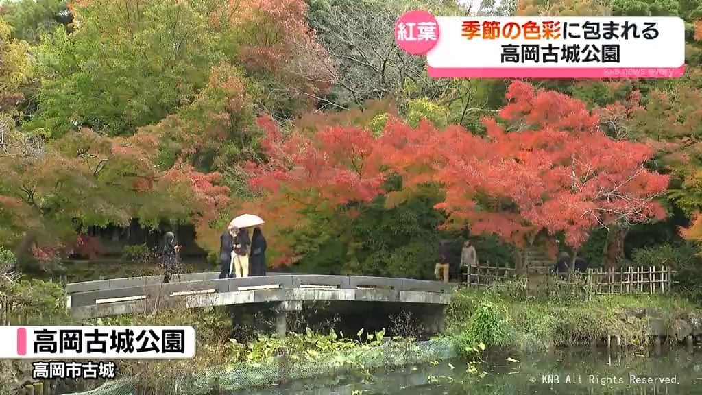 季節の色楽しむ　高岡古城公園の紅葉見頃