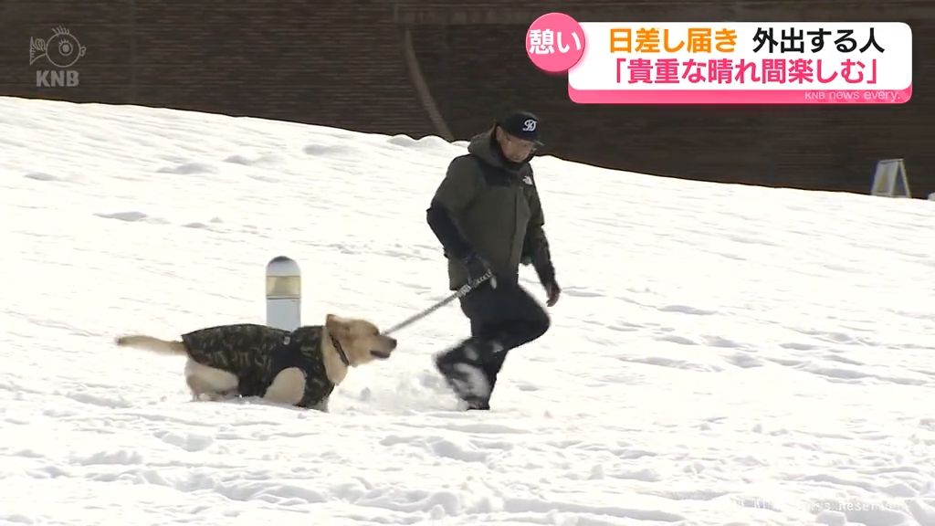 晴れ間広がり公園散策する人も　祝日の富山県内