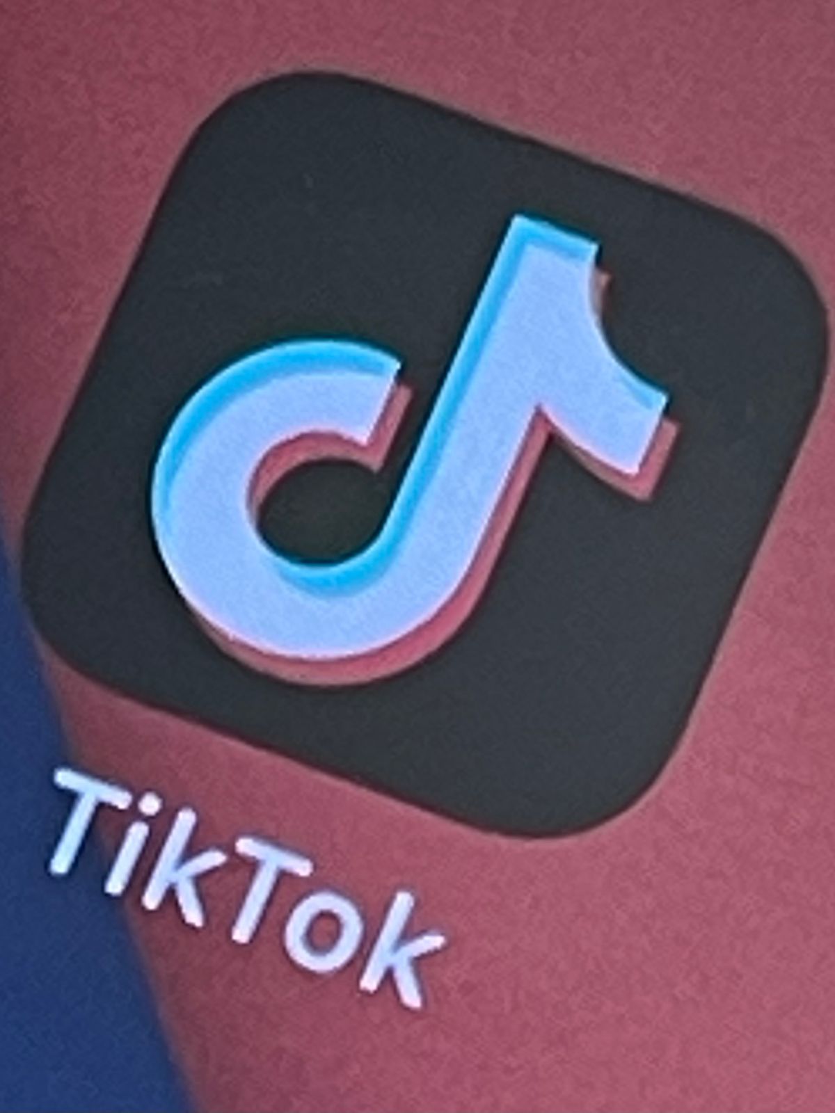 「TikTok」運営会社が米モンタナ州を提訴　“事業活動を禁じる法律は違憲”