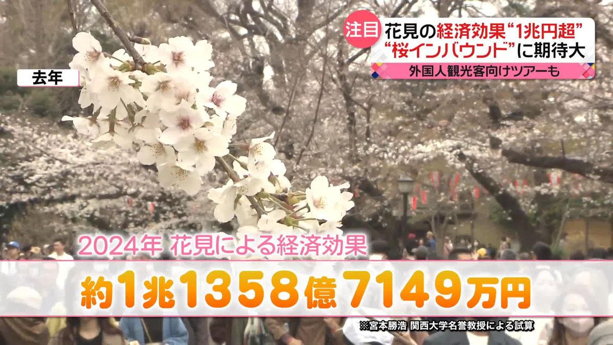 “ニッポンの桜を見たい！”外国人観光客が続々　“1兆円超”「花見」の経済効果