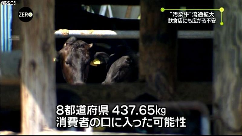 セシウム汚染牛、４３７．６５キロ消費か